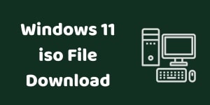 windows 11 iso download