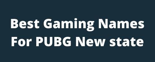 Best Gaming Names For PUBG new state