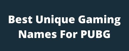 Best unique Gaming Names For PUBG