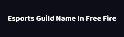 Esports Guild Name In Free Fire