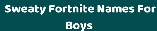 Sweaty Fortnite Names For Boys