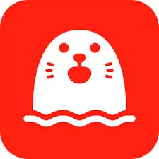 stranger video chat app