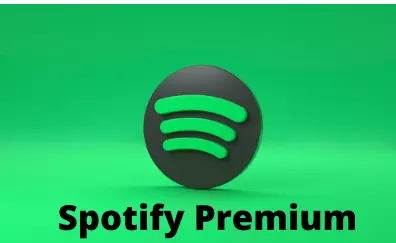 Can You Listen To Spotify on Airplane Mode with premium
